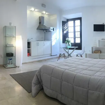 Casco Historico Apt. Dona Concha Διαμέρισμα